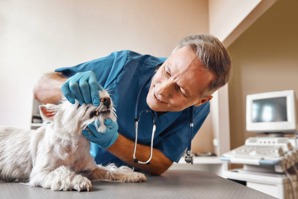  Folly Beach, SC Emergency Dentist Pros